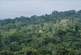  Brésil:  la déforestation de l'Amazonie a presque doublé sur un an