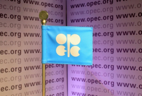 Dialogue OPEP-Russie : Une nouvelle réunion annoncée pour décembre