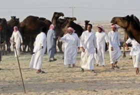Des chameaux éliminés d'un concours de beauté pour cause de... Botox