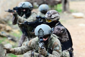 Opération Rameau d'olivier: Neutralisation de 2 940 terroristes, depuis le 20 janvier