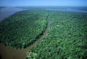 L’élection de Jair Bolsonaro menace la survie de la forêt amazonienne