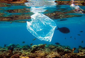   Le plastique dans les océans au coeur d'un sommet de l'ONU  