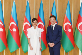  Mehriban Aliyeva reçoit le président du MEDEF -  PHOTOS  