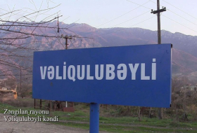   Le ministère de la Défense diffuse   une vidéo   du village de Valigouloubeyli  