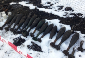  Des missiles, obus et mines découverts à Choucha, affirme l'ANAMA 