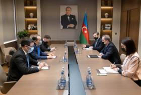    Djeyhoun Baïramov a rencontré le secrétaire général du Conseil turc  