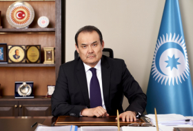   Bagdat Amreev: «Les États turcs continueront d'être aux côtés de l'Azerbaïdjan» 