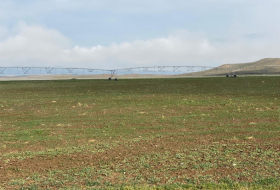   L'inventaire de 454 000 hectares de terres a été achevé dans les territoires azerbaïdjanais libérés   