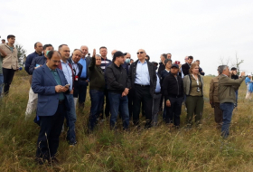  Des diplomates étrangers accrédités en Azerbaïdjan visitent la plaine de Djydyr à Choucha - PHOTO