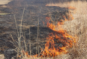  Un incendie se déclare en direction de Gazakh de la frontière azerbaïdjano-arménienne 