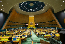  L'Assemblée générale des Nations Unies adopte une résolution sur les vaccins initiée par l'Azerbaïdjan 