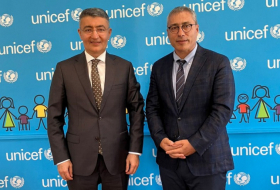   L'ambassadeur d'Azerbaïdjan discute de la COP29 avec un représentant albanais de l'UNICEF  