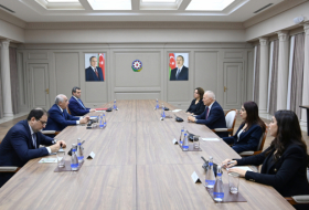 Ali Assadov s'entretient avec le président de l’Assemblée de la République turque de Chypre du Nord