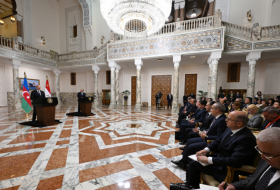  Les présidents de l'Azerbaïdjan et de l'Égypte ont fait des déclarations à la presse - PHOTOS
