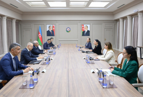 Le Premier ministre azerbaïdjanais s'entretient avec la vice-Première ministre albanaise Belinda Balluku