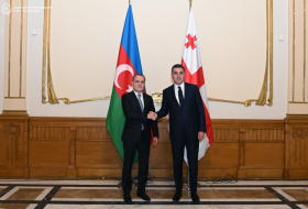 Rencontre entre les ministres des Affaires étrangères de l'Azerbaïdjan et de la Géorgie