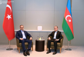   Les ministres des Affaires étrangères de l'Azerbaïdjan et de la Turkiye se sont réunis à Choucha  