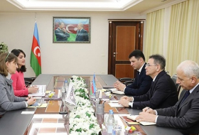 Madat Gouliyev a rencontré la chef du bureau du CICR en rapport avec la restitution du corps de soldat azerbaïdjanais