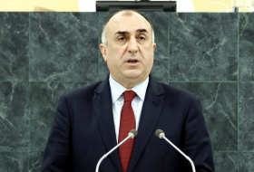 Les ministres des Affaires étrangères de la Géorgie et de l`Azerbaïdjan se sont rencontrés