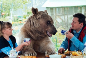 Une famille russe vit avec un ours de compagnie - VIDEO