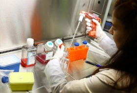 Une université turque développe un anticorps contre le cancer de l`ovaire