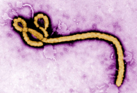 Ebola, herpès, grippe... IBM a mis au point une molécule tueuse de virus