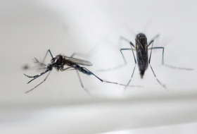 Au moins deux mois de relations sexuelles protégées au retour de zones Zika