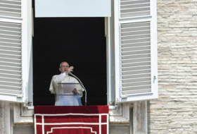 Soutien du pape aux parents d'un bébé britannique condamné