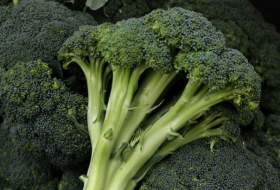 Les brocolis pourraient aider à lutter contre le cancer