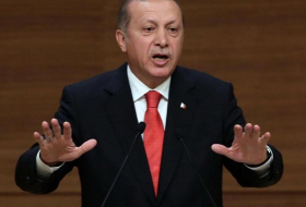 Erdogan rouspète contre le Prix Nobel