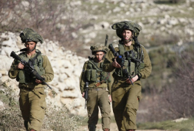 L`armée israélienne dit avoir tué «quatre combattants liés à l`EI» dans le Golan