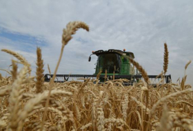 Russie: exportations record de céréales malgré une récolte en baisse