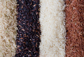Le riz OGM sauvera-t-il l`humanité?