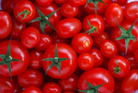 Des tomates qui guérissent le cancer
