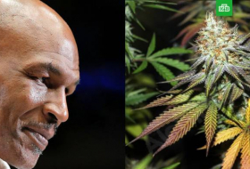 Mike Tyson dans le business du cannabis