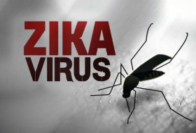 Zika : Bientôt un test de dépistage bon marché