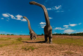 Des scientifiques décrivent pour la 1re fois le plus gros dinosaure de la Terre
