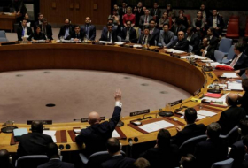 ONU/Syrie: le Japon demande de prolonger pour 30 jours des enquêtes sur les armes chimiques