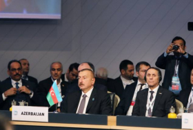 Le président azerbaïdjanais participe au sommet du D-8 à Istanbul - PHOTOS