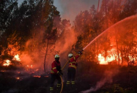 Portugal : 442.000 hectares partis en fumée, un record historique