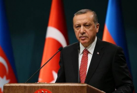 Erdogan a remercié Samad Seyidov pour son discours à l'APCE