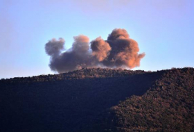 Opération Rameau d'olivier: L'Armée turque neutralise 649 terroristes à Afrin