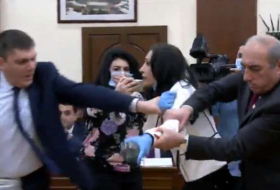 Les représentants de Serge Sarkissian ont attaqué une politicienne - VIDEO