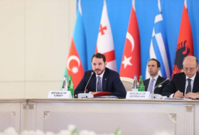 Berat Albayrak: «Le TANAP sera mis en service en juin»