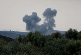 Rameau d'olivier: 9 terroristes neutralisés dans l'ouest d'Afrin