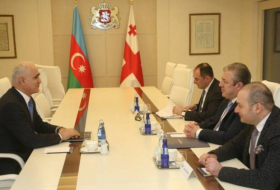La délégation azerbaïdjanaise reçue par le Premier ministre géorgien