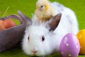 Pourquoi les lapins sont-ils aussi un symbole de Pâques ?
