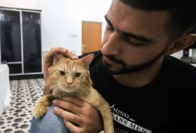 Irak: A Bassora, les chats ont leur hôtel