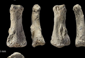 Un os de doigt d'Homo sapiens, vieux de 85.000 ans, trouvé bien loin d'Afrique