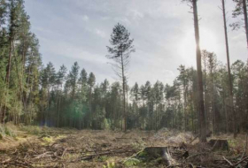 La Pologne a enfreint le droit de l'Union sur la protection des sites naturels